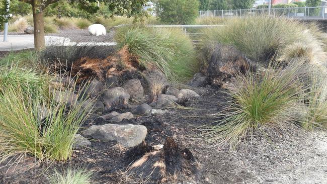 Police are investigating a suspicious bushfire at the Mount Gambier Railway Lands that took place last night. Picture: Jessica Dempster