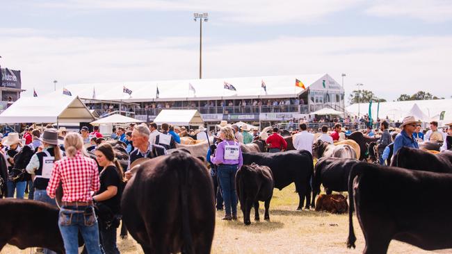 A stud cattle parade at Beef Australia 2021.