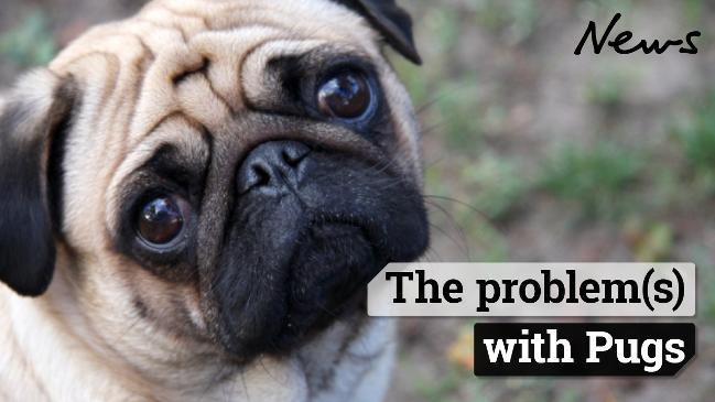 The problem(s) with pugs