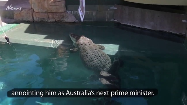 Burt the psychic croc tips election winner