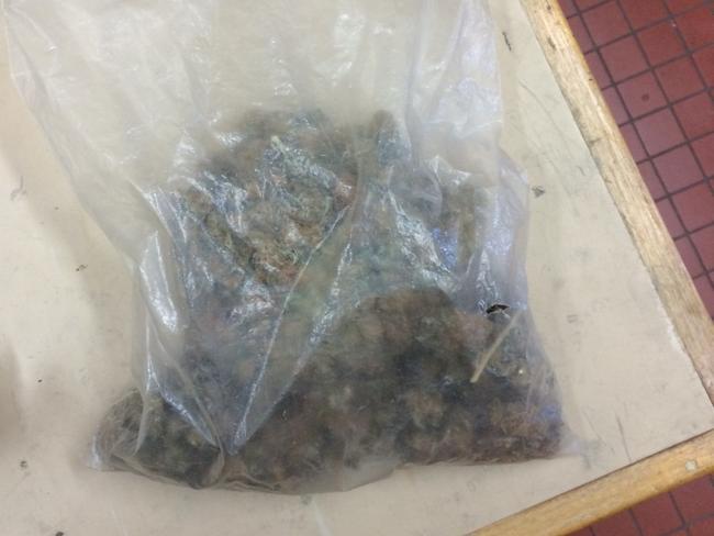 Thief drops stash of ‘weed’ on run to getaway car with stolen goods