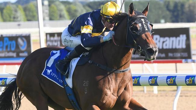 Ballarat winner Girl will shoot for a second straight win when she heads to The Valley on Friday night. Picture: Racing Photos via Getty Images.