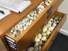 ‘Mind-boggling’: Illegal egg trade puts wildlife at risk, ecologist says