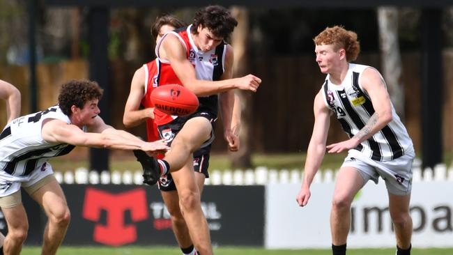 QAFL Colts Morningside Panthers v Sherwood Magpies. Saturday April 29, 2023. Picture, John Gass