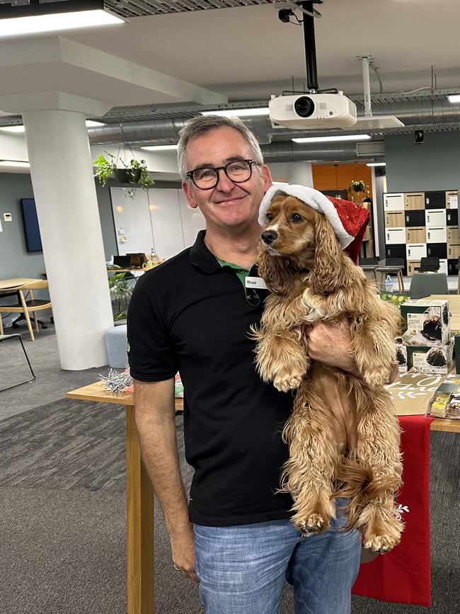 Woolworths Group CEO Brad Banducci and his three-year-old King Charles Cavalier cocker spaniel cross, Juno.