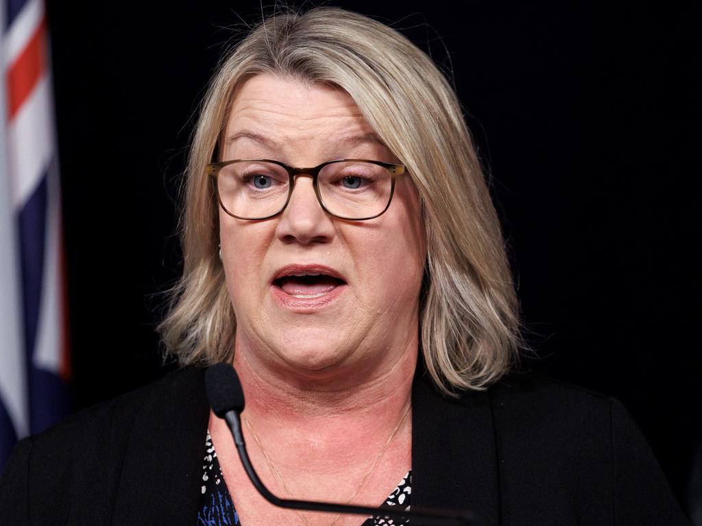 Minister for Multicultural Affairs Ingrid Stitt. Picture: David Geraghty