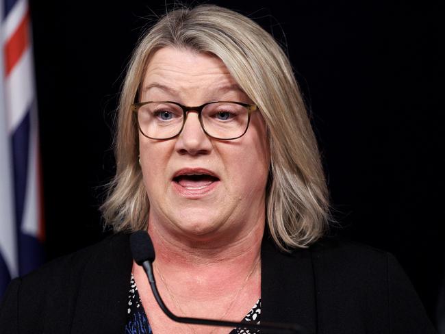 Minister for Multicultural Affairs Ingrid Stitt. Picture: David Geraghty