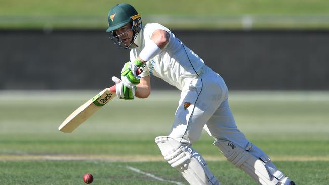 Tim Paine of the Tigers bats during day one of the Sheffield Shield match between Tasmania and New South Wales at Blundstone Arena. Picture: Steve Bell/Getty Images