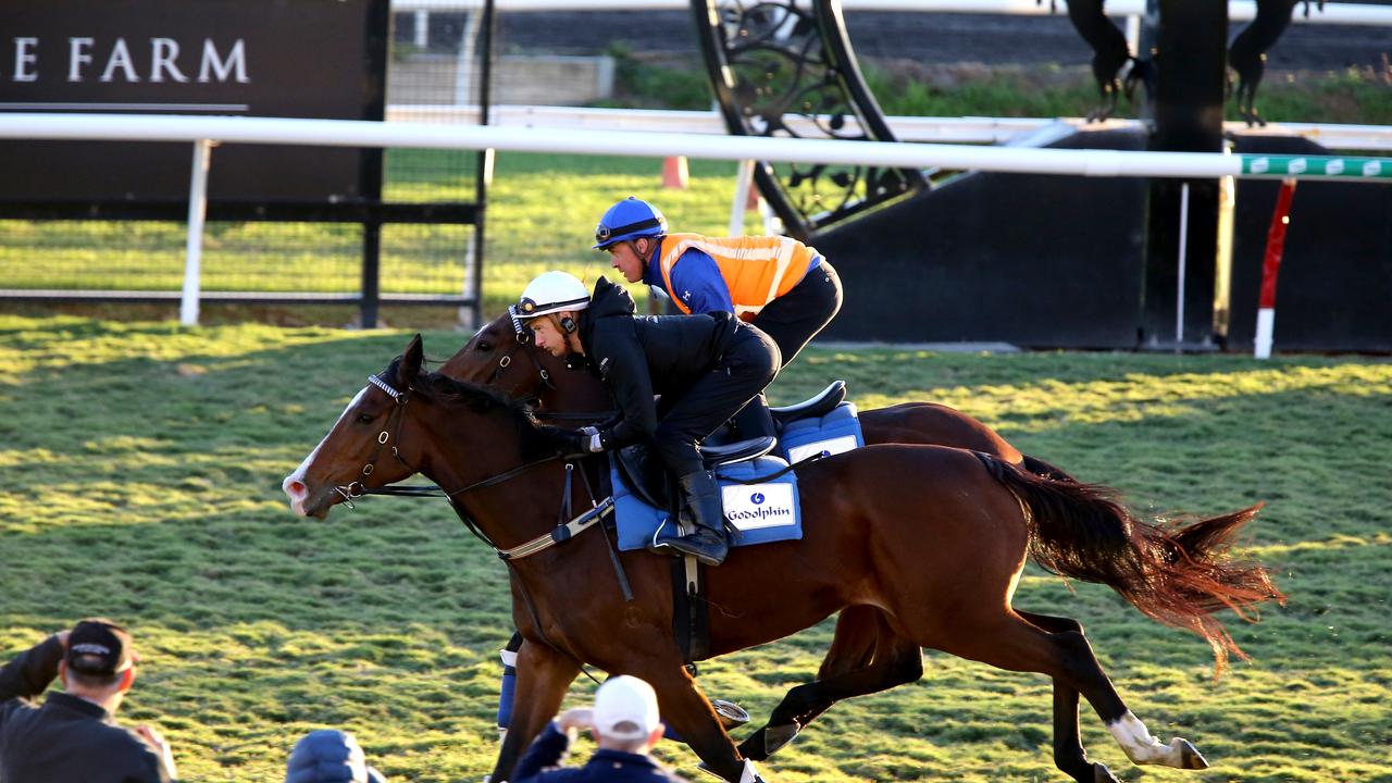 Early morning trackwork at Eagle Fam racecourse. Ascot takes its name from the famous English home of horse racing. Picture: David Clark