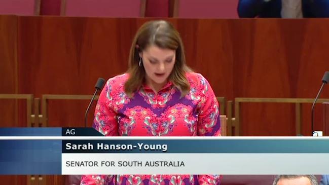 Hanson-Young says Leyonhjelm hurled obscenity at her