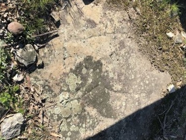 The ancient carving of a kangaroo or wallaby made by Aboriginal people was being damaged due to poor drainage at Gumbooya Reserve, Allambie Heights. Picture Northern Beaches Council