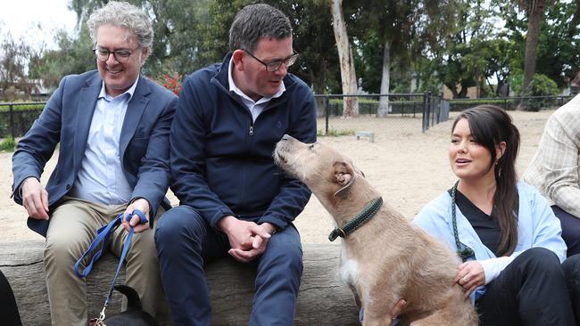 Victorian Premier Daniel Andrews meets a four-legged friend after announcing funding for dog parks and animal welfare at Pawfield Park in Melbourne. Picture: NCA NewsWire/David Crosling