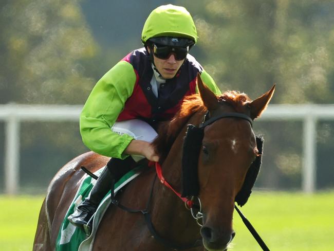 SCONE, AUSTRALIA - MAY 17: Jace McMurray riding Fiorsum Fred win Race 2 TAB Highway Handicap during Sydney Racing at Scone Race Club on May 17, 2025 in Sydney, Australia. (Photo by Jeremy Ng/Getty Images)