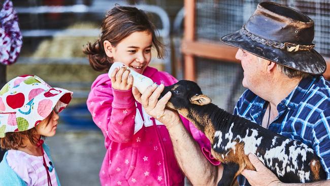 Victoria’s Royal Melbourne Show now has more firsts, more to do and more to see than ever before.
