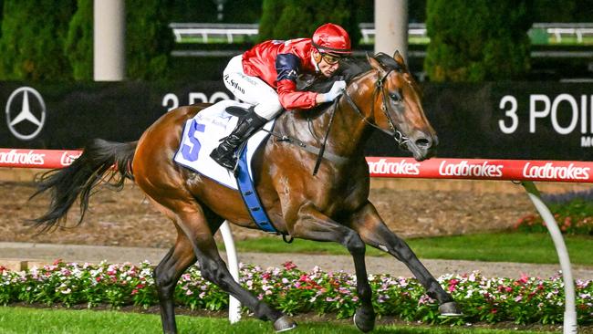 Schwarz will shoot for his maiden Group 1 win in Saturday’s CF Orr Stakes at Caulfield. Picture: Racing Photos via Getty Images