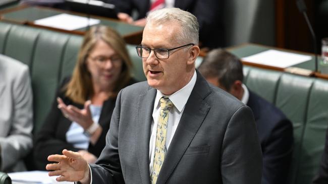 Cyber Security Minister Tony Burke. Picture: Martin Ollman/NewsWire