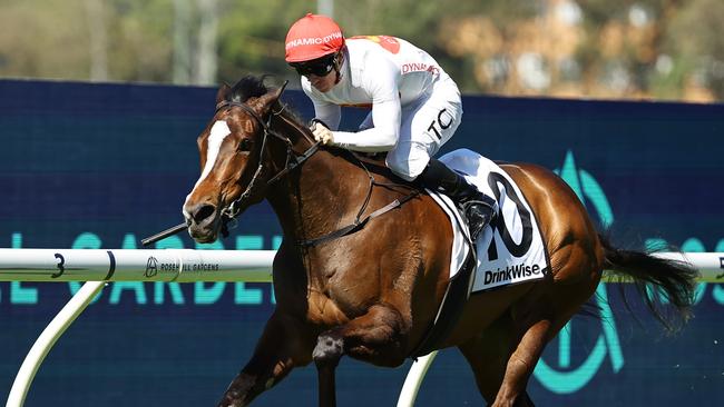 It's A Knockout leads all-the-way at Rosehill on Saturday to make it two wins from three starts. Picture: Getty Images