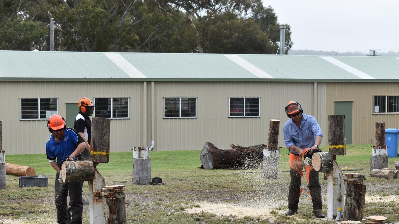 Woodcutting action from the 2022 Stanthorpe Show.