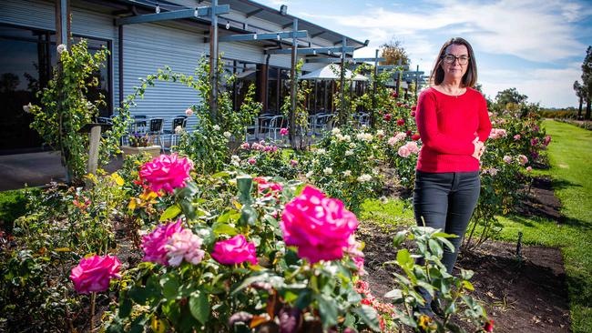 Liberal Senator Anne Ruston at Ruston Roses at Renmark. Picture: Tom Huntley