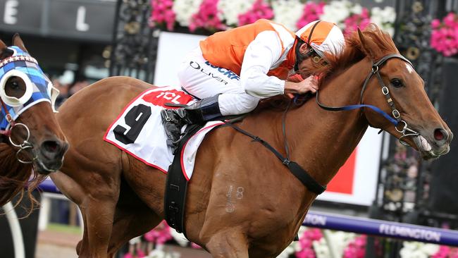 Vow And Declare is one of the best local hopes in the Caulfield Cup. Picture: Michael Klein