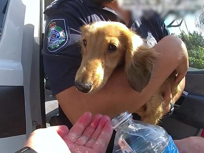 Duppy is helped by police officers. Picture: QPS