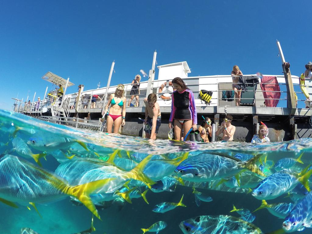 Tourists prepare to snorkel off the side of the Sunlover pontoon. Picture: Calypso Photography