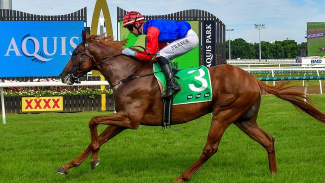 Shailer is confident Deep Focus will run out the 2400m. Picture: Grant Peters/Trackside Photography