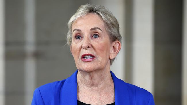 Queensland Shadow Minister for Health Ros Bates during a news conference in Brisbane. Picture: Tertius Pickard