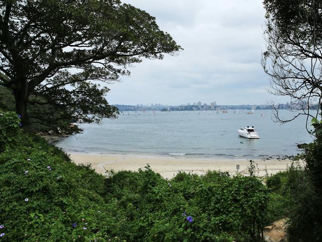 Athol / Whiting Beach which is managed by Taronga Zoo resembles a rubbush dump, also rife with weeds. Picture: Braden Fastier