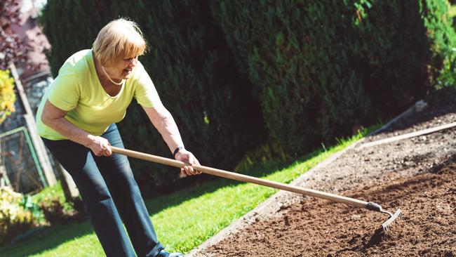 Preparing the garden for planting, digging in organic matter. Picture: istock.