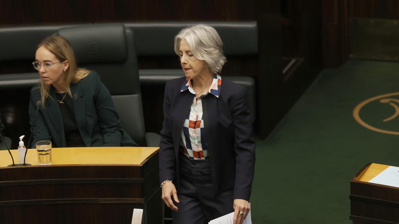 Greens leader Doctor Rosalie Woodruff. Picture: Nikki Davis-Jones