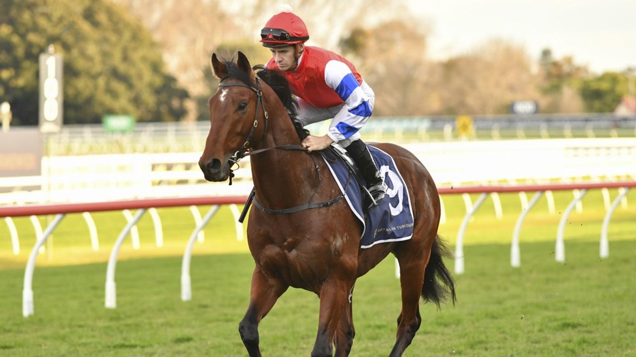 Former English galloper United Nations steps out for his second Australian start at Rosehill on Saturday. Picture: Bradley Photos