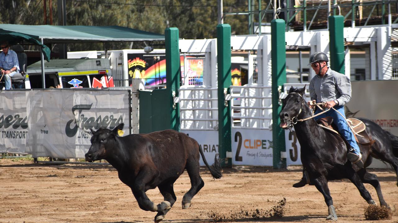 Mick Connolly on Rhadman in the Warwick Canning Downs Campdraft.