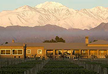 High and mighty ... vineyards with mountain views at Bodega Carlos Pulenta. The reputations of Argentina's wines are growing.