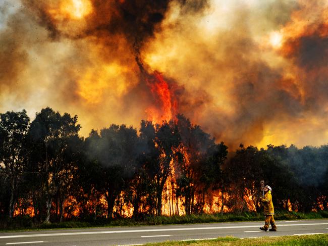 A rural firefighter watches on as the bushfire blazes east of the David Low Way at Peregian Beach south of Noosa. Photo Lachie Millard