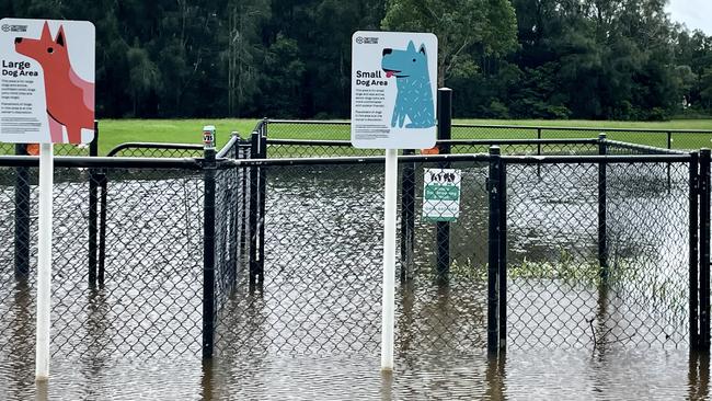 A flooded Vale of Ah off-leash dog park at Milperra, near the Georges River, on Sunday. Picture: Odessa Blain