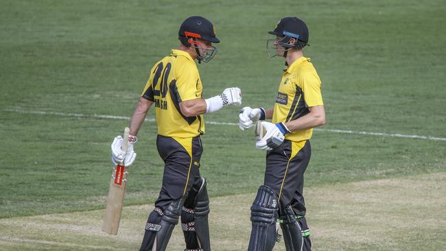 Shaun Marsh and Cameron Bancroft combined well for the Warriors