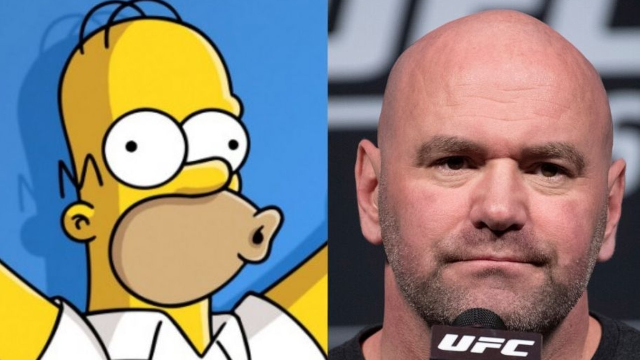 Homer Simpson and UFC President Dana White.