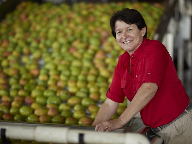 Marie Piccone from Manbulloo Mangos is the largest grower of Kensignton Pride fruit in Australia.