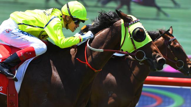 Craig Williams riding Yogi at the Sandown Cup. Picture: Getty