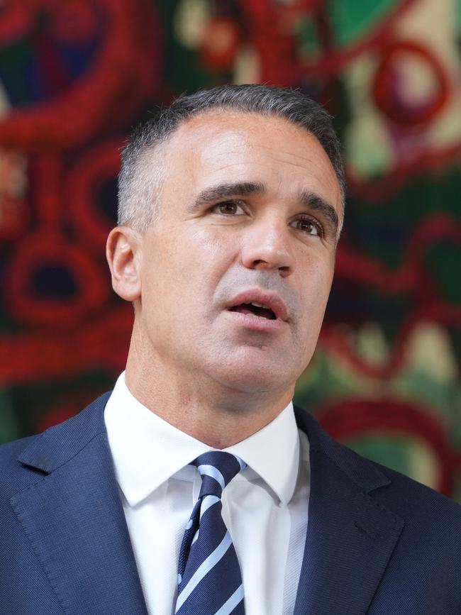 South Australian Premier Peter Malinauskas. Picture: Dean Martin