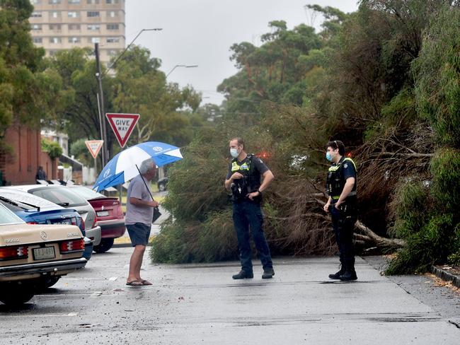 A fallen tree blocks traffic in Middle Park. Picture: Nicki Connolly