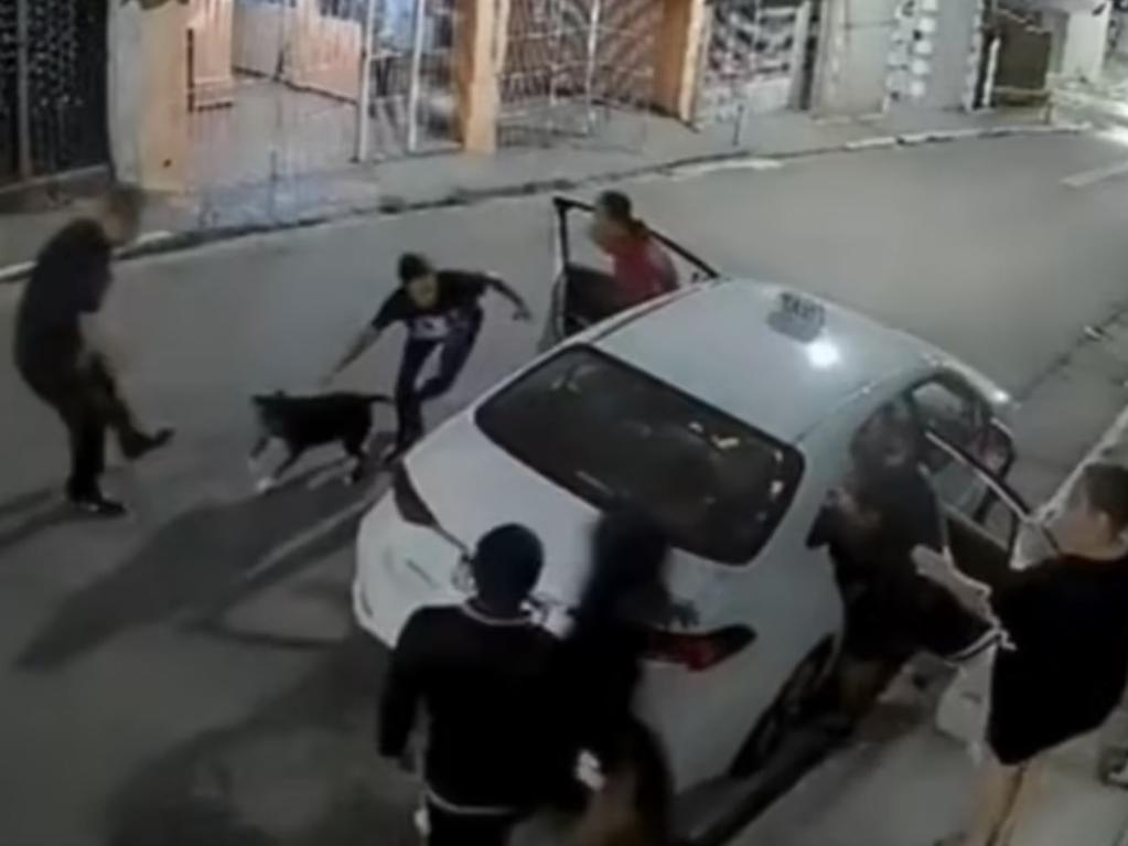 A quick-thinking mother set her pit bull on three thieves attacking her family on the street. Picture: Jam Press