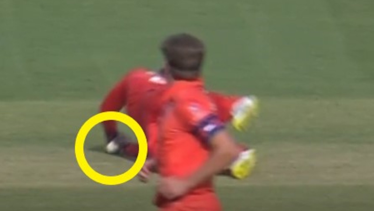 Calm down Netherlands, that's not out. Photo: Fox Sports