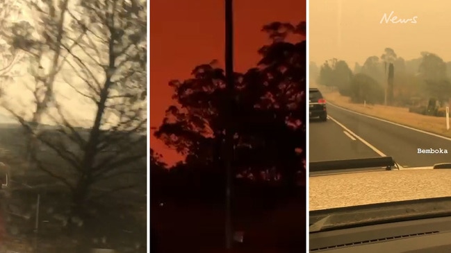 Sam Armytage flees the NSW bushfires with her dogs