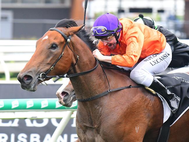 Miss Hipstar (orange) and Larry Cassidy win the Dalrello Stakes at Eagle Farm. Picture: Grant Peters, Trackside Photography