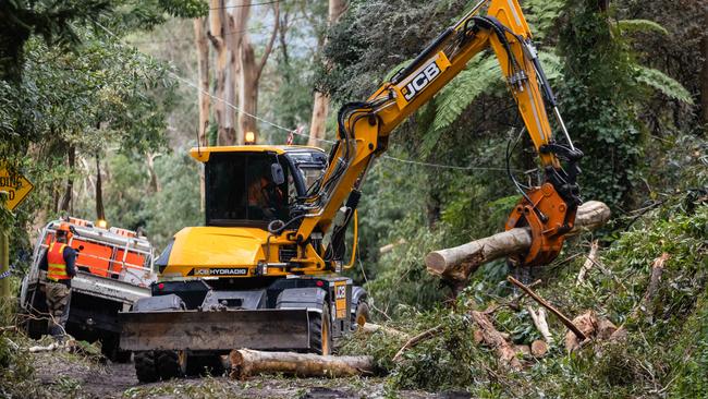 The clean-up from the wild June 9 storms continues in the Dandenong Ranges. Picture: Jason Edwards