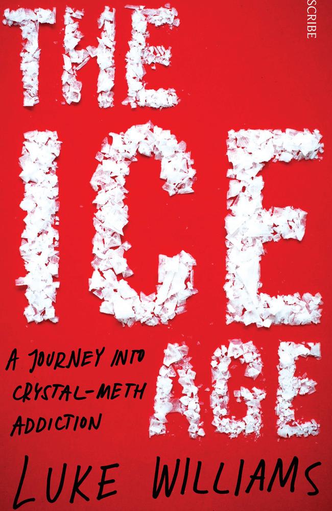 The Ice Age by Luke Williams.