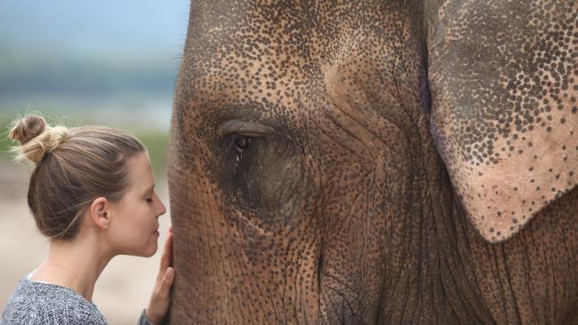 Being so close to the elephants is a very moving experience. Picture: Linda Silmalis