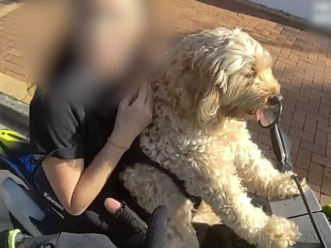 A motorcyclist with a dog on a bike is pulled over by police on the Sunshine Coast.